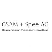 GSAM + Spee Asset Management AG