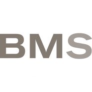BMS Finanz Consulting GmbH